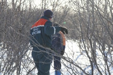 На Камчатке прошли тренировки спасателей по поиску людей в лесу 13