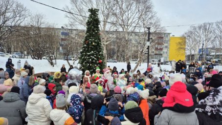 Сезон новогодних елок стартовал в краевой столице на Камчатке 5