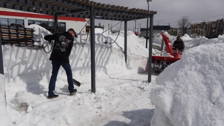 Андрей Воровский присоединился к субботнику в Перопавловске-Камчатском 7