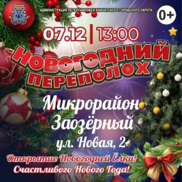 Актуализирован график открытия ёлок в Петропавловске-Камчатском 3