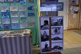 День нерпы отметили в селе Тиличики на севере Камчатки 11