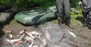 Почти тонну лосося изъяли у браконьеров рыбинспекторы на Камчатке за первую декаду июня