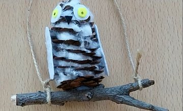 Вкусные подарки и сов из шишек отправили юннаты инспекторам Кроноцкого заповедника на Камчатке 3