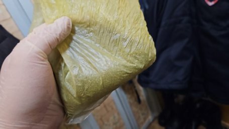 Мужчина занимался выращиванием незаконных кустов на территории своего частного дома на Камчатке 4