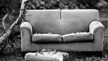 Отсутствие зон для сбора крупногабаритных предметов заметила прокуратура в Петропавловске-Камчатском