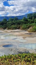 Обложку октябрьского выпуска престижного научного журнала mSystems украсило фото горячего источника с Камчатки 4 Обложку октябрьского выпуска престижного научного журнала mSystems украсило фото горячего источника с Камчатки 4