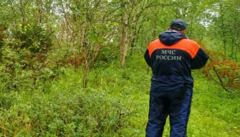 На Камчатке спасатели обнаружили грибника, зaблудившегося в лесу