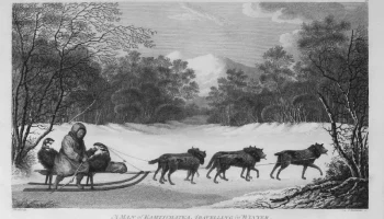 Гравюры о Дальнем Востоке XVIII &ndash; начала XX века покажут в художественном музее на Камчатке