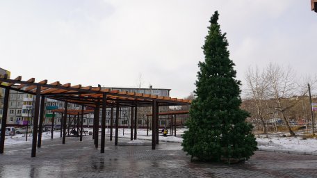 Новогодние елки устанавливают в микрорайонах краевой столицы 0