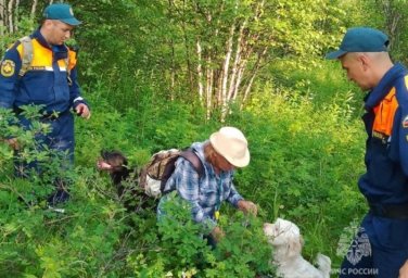 Семейная пара потерялась в лесу и была спасена на Камчатке 0