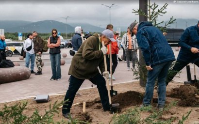 Более ста деревьев горной сосны и ели высадили в международном аэропорту Петропавловска-Камчатского 3