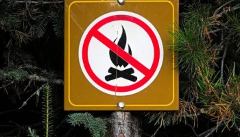 О начале пожароопасного периода напоминают городские власти жителям Петропаловска-Камчатского