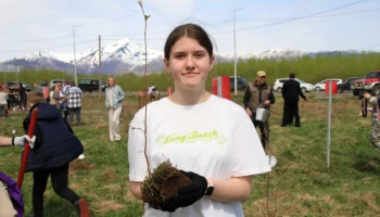 На Камчатке восстанавливают леса На Камчатке восстанавливают леса