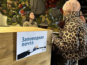 Около 500 человек стали гостями &laquo;Ночи в музее&raquo; Кроноцкого заповедника на Камчатке 12