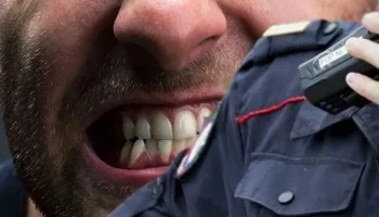 «Тебя оштрафуют, а ты не кусай»: попробовавший полицейского на зуб заплатит 100 тысяч рублей на Камчатке «Тебя оштрафуют, а ты не кусай»: попробовавший полицейского на зуб заплатит 100 тысяч рублей на Камчатке