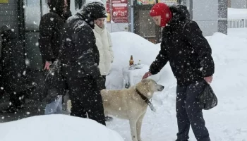 Несколько аварий произошло на сетях водопровода в Петропавловске-Камчатском