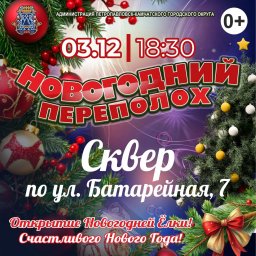 Открытие новогодних ёлок стартует с 1 декабря в Петропавловске-Камчатском 2