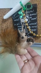 К участию в социальной акции «Заповедный друг» приглашает Кроноцкий заповедник на Камчатке 6