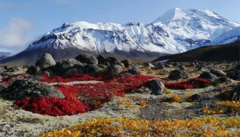 В число регионов&ndash;лидеров по темпам роста инвестиций вошел Камчатский край