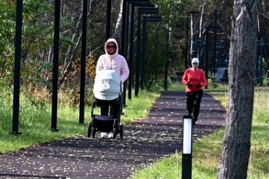 Новой точкой притяжения жителей стал парк у реки Половинки в Елизово 4