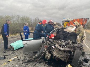Спасатели извлекли водителя из автомобиля после столкновения с грузовиком на Камчатке 0