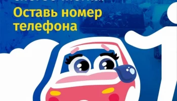 Номер телефона под лобовым стеклом просят оставлять жителей Петропавловска-Камчатского