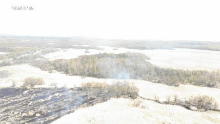 Лесные пожары ликвидированы на Камчатке 1