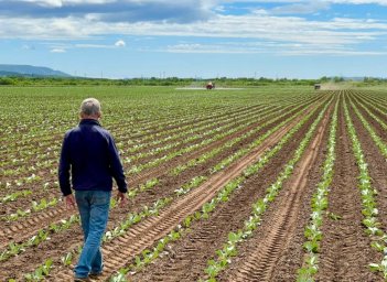 Новые вкусняшки начали выпускать в 2025 году на Камчатке 1