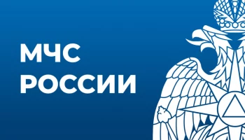 «Прямая линия» по вопросaм антикоррупционного просвещения пройдет на Камчатке