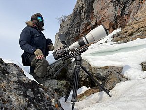 Подлинные события из жизни медведей станут основой фильма «Косолапая история» на Камчатке 6
