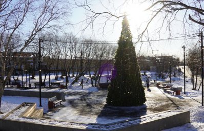 Новогодние ёлки начали устанавливать в Петропавловске-Камчатском 0