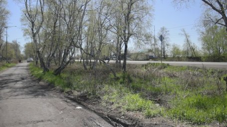 Облик парка на улице Магистральной определяют жители Елизово на Камчатке 3