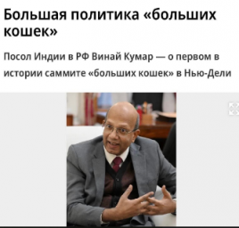 Посол Индии в России высказался о саммите Международного альянса крупных кошачьих 0