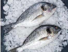 Новый ГОСТ на мороженую рыбную продукцию начнет действовать с июня в Камчатском крае