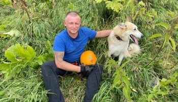 На Камчатке спасатели применили альпинистское снаряжение, чтобы вытащить собаку из "ловушки" в районе Большой Лагерной