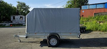 Местообитания диких северных оленей находятся под особым контролем в Камчатском крае 3