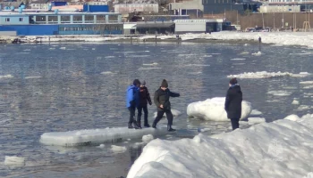 Камчатские школьники вновь устроили опасные игры на льдинах Авачинской бухты