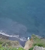 На Камчатке автомобиль  упал в воду со скалы. Водитель погиб