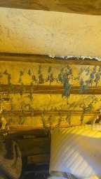 Крупная партия наркотиков изъята в дачном доме при обыске на Камчатке 3
