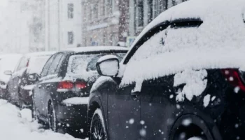 Коллективную драку из-за парковки обсуждают паблики Камчатки