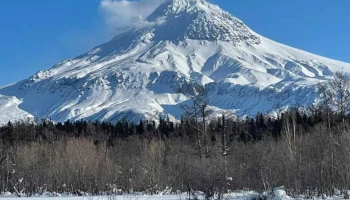 Итоги работы по поддержке малого и среднего предпринимательства в уходящем году подвели на Камчатке