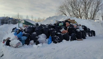 Перерасчет платы за вывоз мусора обещан жителям Петропавловска-Камчатского