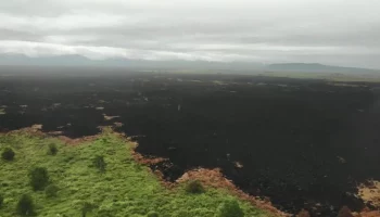 Крупный лесной пожар ликвидировали на Камчатке