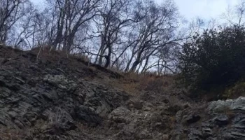 Очередных скалолазов спустили с Никольской сопки в Петропавловске-Камчатском Очередных скалолазов спустили с Никольской сопки в Петропавловске-Камчатском