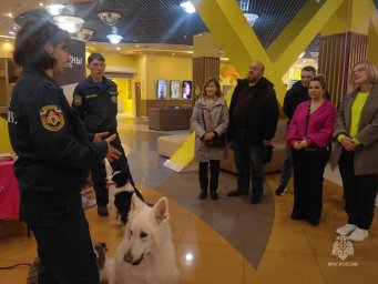Работу служебных собак показали кинологи МЧС России на Камчатке 9