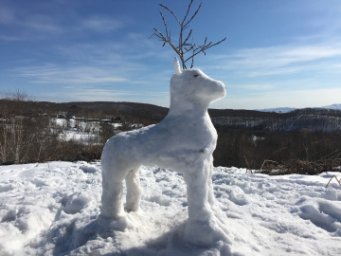 Кроноцкий заповедник запустил конкурс снежных скульптур &laquo;Обитатели заповедной Камчатки&raquo; 0