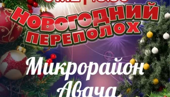 Открытие новогодних ёлок стартует с 1 декабря в Петропавловске-Камчатском