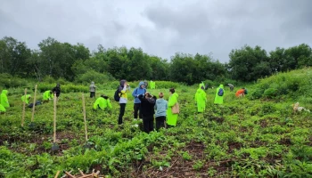 Агротехнические уходы запланированы к проведению на Камчатке