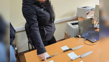 За нанесение ножевого ранения сожителю предстанет перед судом жительница Петропавловска-Камчатского