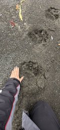 Кроноцкий заповедник рассказал историю сотрудников, чья жизнь посвящена охране дикой природы Камчатки 3